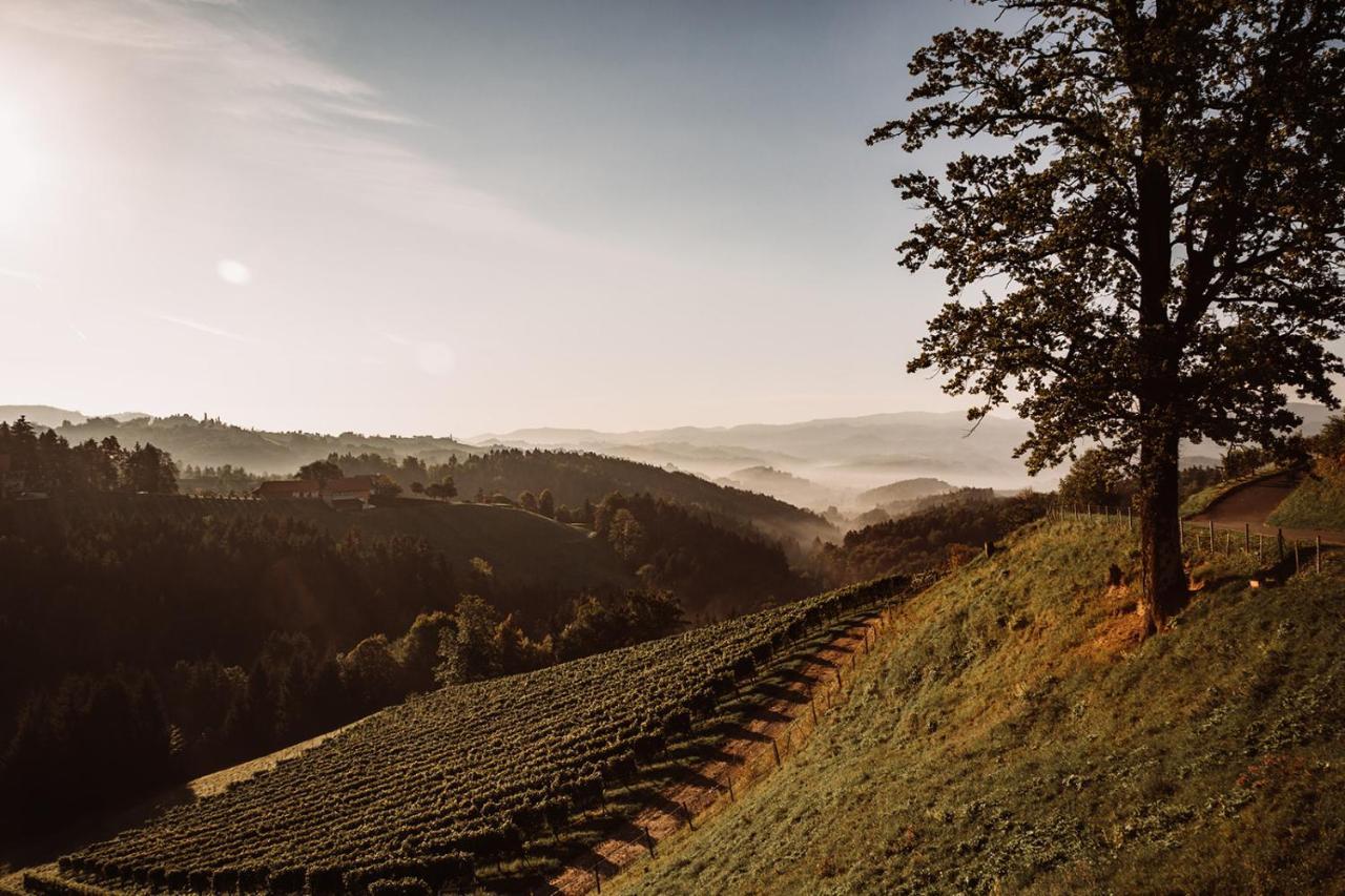 Weingut Kollerhof Am Eichberg Villa Leutschach Exteriör bild