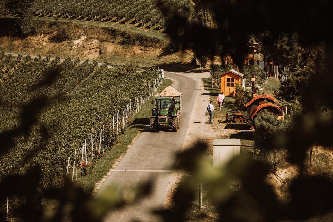 Weingut Kollerhof Am Eichberg Villa Leutschach Exteriör bild